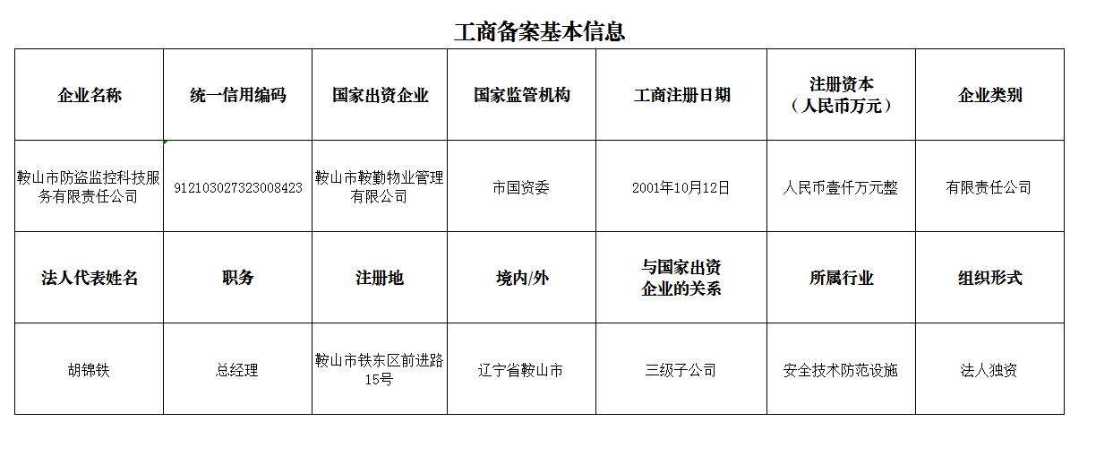 鞍山市防盜監(jiān)控科技服務有限責任公司